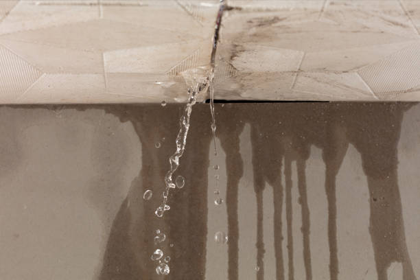 Professional Burst Pipe Cleanup technician working in Felton, CA